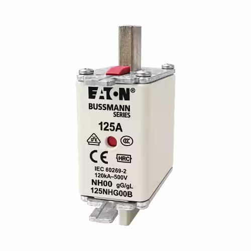 125a-battery-fuse-low-voltage-fuse-south-africa Front-facing view of a 125A Battery Fuse with NH00 blade contacts on white background